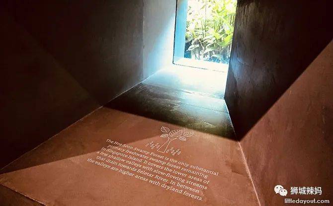 恐龍化石、抹香鯨骨架、初代巨星阿明……100W+動植物標本竟然藏在新加坡這個地方