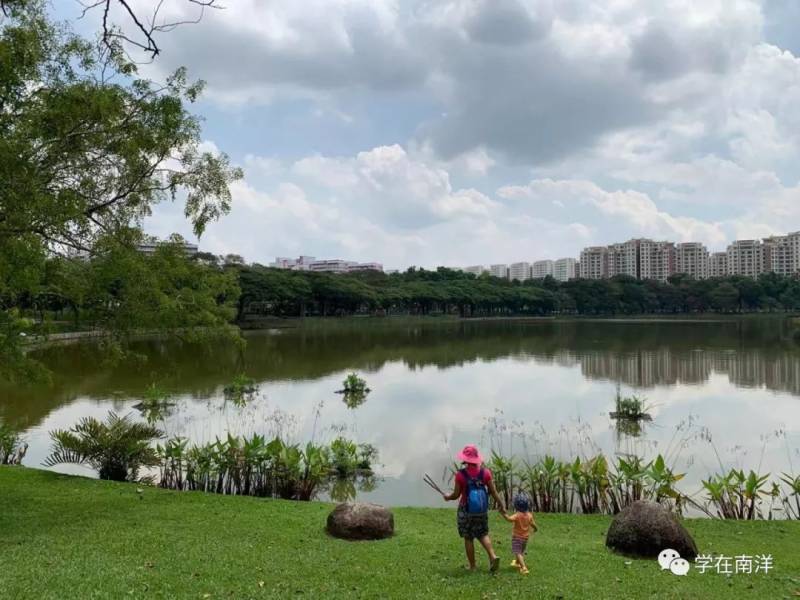 在新加坡读书一年要花多少钱