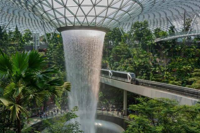 新加坡人对绿色有多着迷?公交车顶种草,大楼里植树,实在绝了