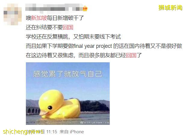 再見!回國潮到來,離開新加坡的他們有話說~附10月中新機票