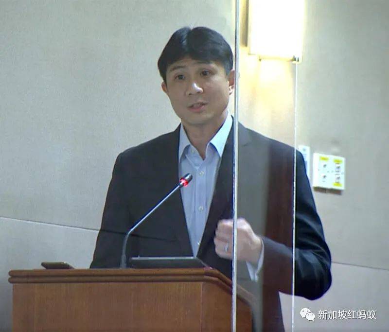 國會外的“忍者神龜”，新加坡執政黨看不見的辯論對手