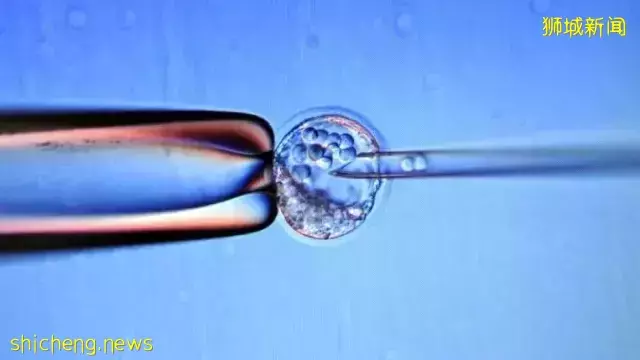 符条件人工受孕夫妇 胚胎植入前基因检测可获部分津贴