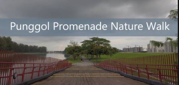 知道新加坡这10条美爆了的户外跑步路线后,跑步真的成为了一种享受