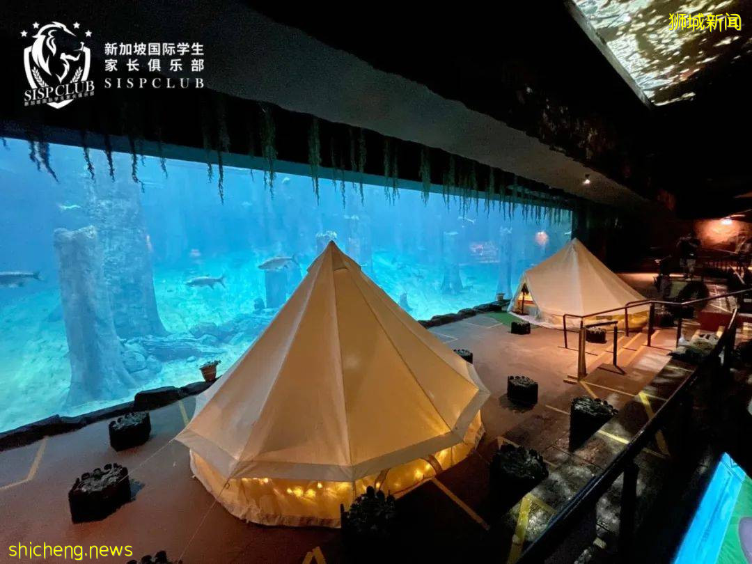 5月這麽多假期，新加坡哪裏遛娃好？哪裏有折扣