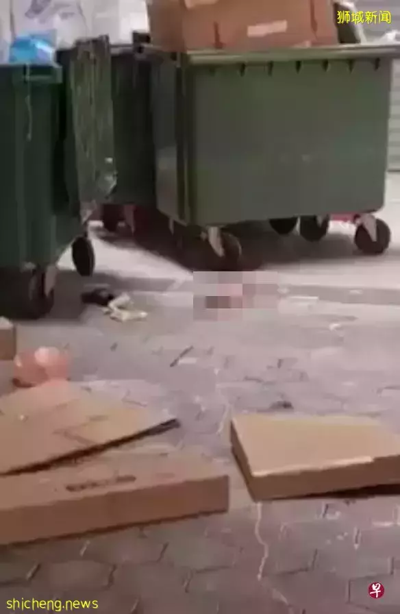 网传断腿视频为非自然死亡案件 狮城警方：排除他杀