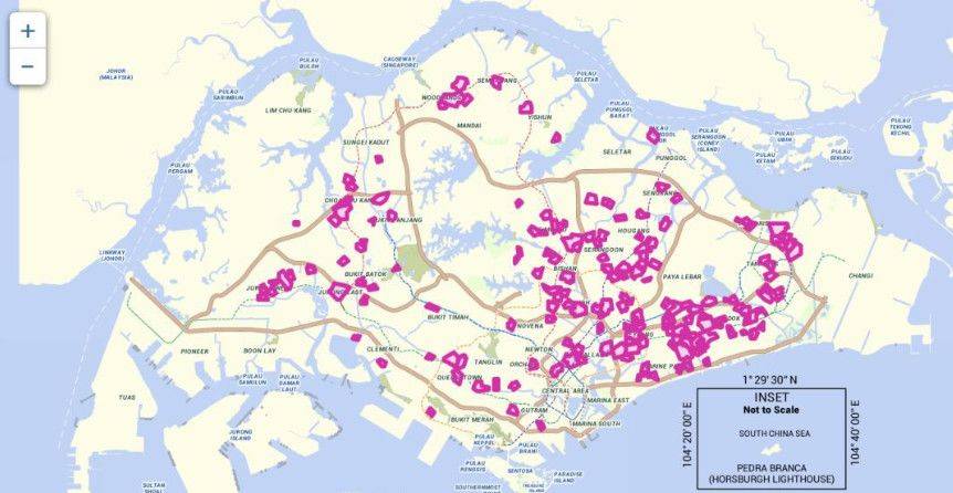 多图慎入...新加坡惊现超大蜜蜂群,漫天乱飞密密麻麻