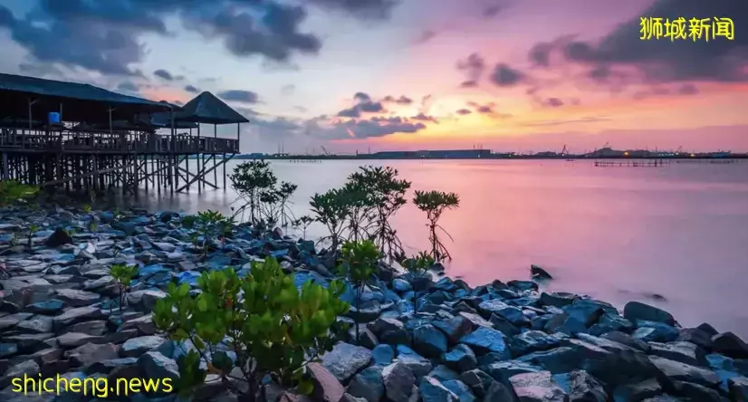 新加坡:開放邊境,撥款5億,大力恢複旅遊業