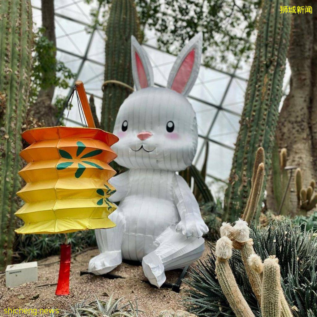 滨海湾花园2021中秋节灯展来了!擎天树挂70多盏悬浮天灯🏮 9月15日起开放,免费入场赏灯🆓