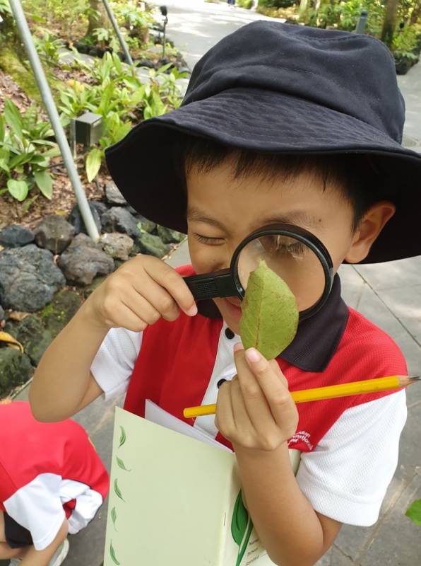 新加坡留學!備受家長青睐的雙語國際名校,加拿大國際學校