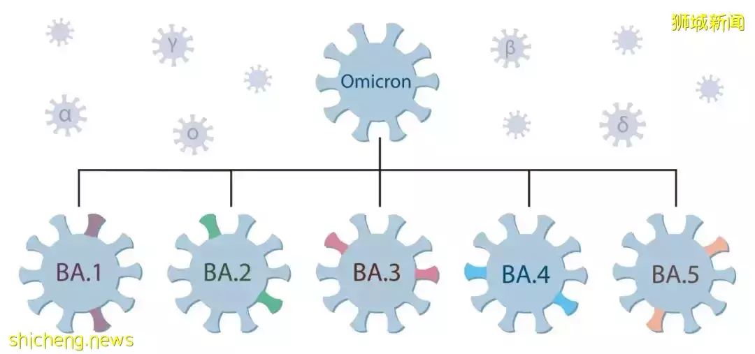 新加坡出現4個奧密克戎變種！會反複感染！衛生部長：統一互認疫苗護照，包括中國