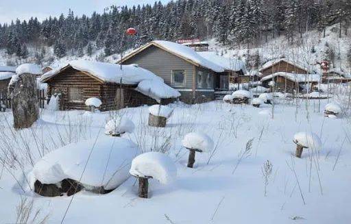 惊！新加坡组屋走廊挂满了猪耳朵、猪大肠和腊肠