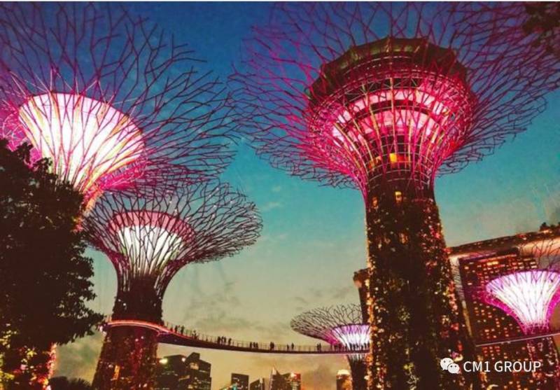 滨海湾花园开放擎天树观景台 更多人可“登高望远