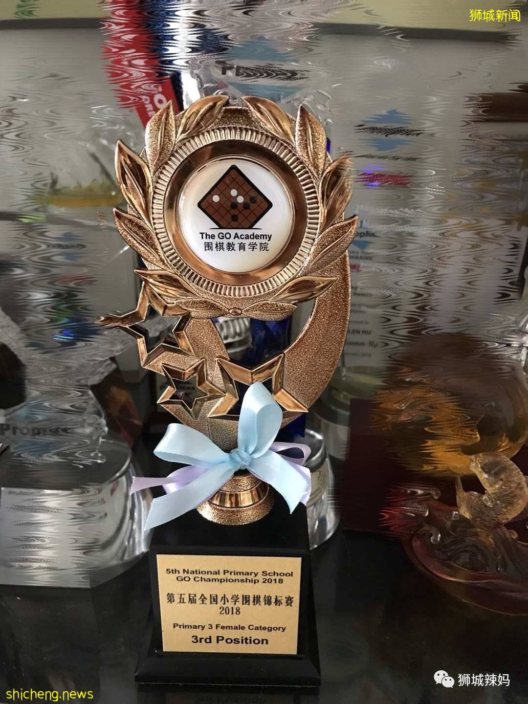 准备1年半拿到南洋女中DSA录取通知，这个冷门项目估计你不知道