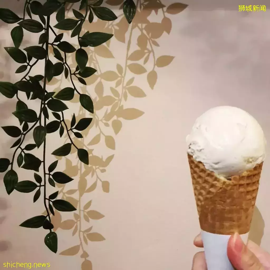 轉角遇到愛🍦新加坡小而美的精致鄰裏冰激淩店大盤點