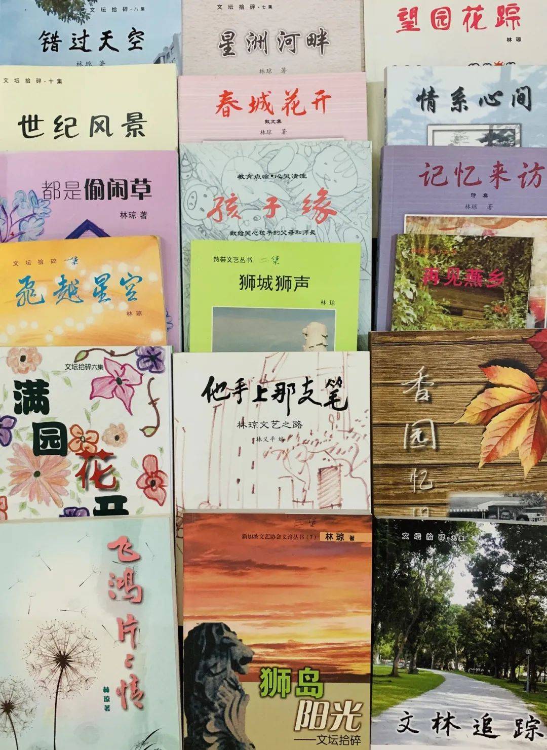 他手上那支筆——林瓊專訪