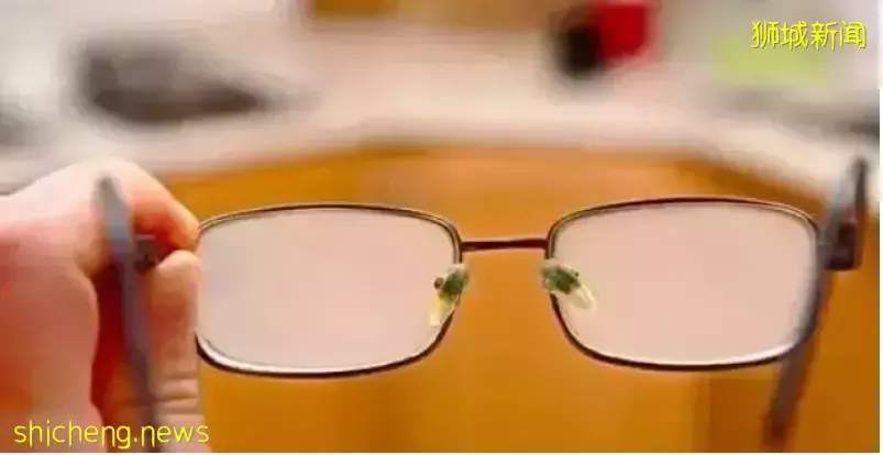 鮮花在熱帶也能養1個月？資深花友新加坡買花、養護大揭秘