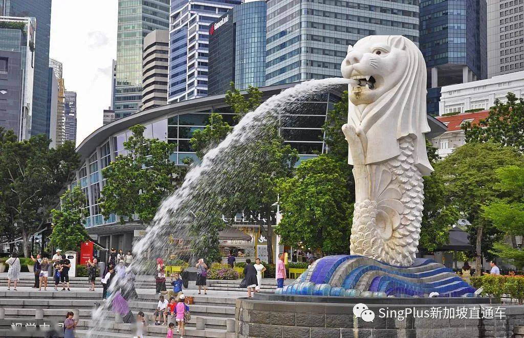 警惕！又有同胞在新加坡被騙200多萬！你的個人信息在暗網只值2新幣