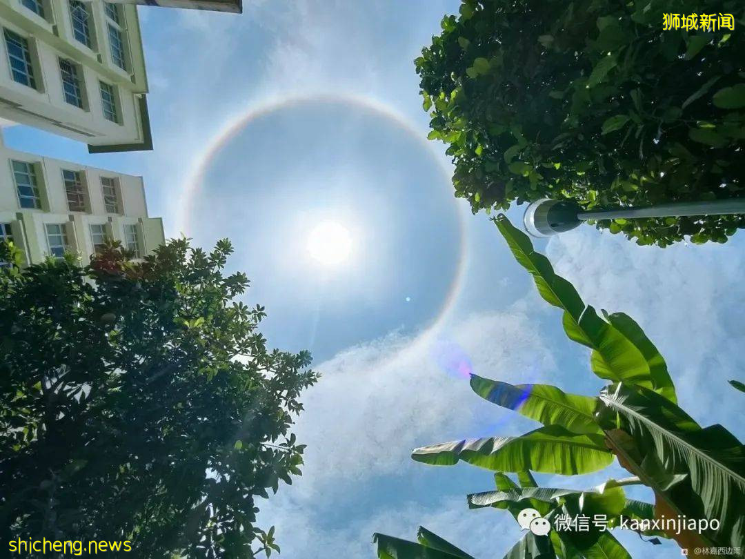 罕见!新加坡出现日晕,祥瑞之兆