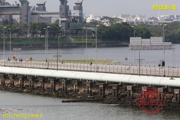 接种者回国或允居家隔离 马劳问：返回新加坡呢