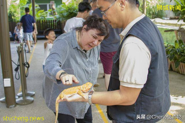 新加坡旅遊3天就夠?看完這篇最全攻略,你還這樣認爲嗎!