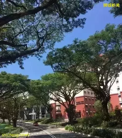 新加坡的这些高颜值的学校，你想来吗
