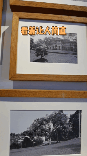 隐藏在葱葱绿树里!新加坡闹市区有个网红景点,百年前竟是大使馆