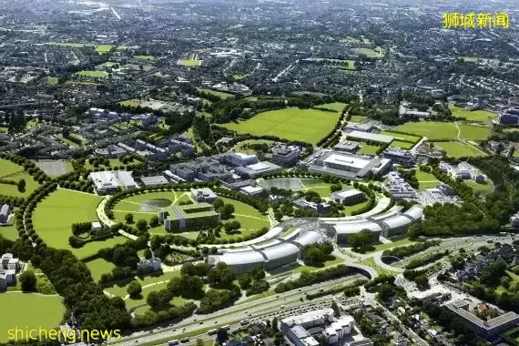 新加坡專升碩 商科有哪些選擇