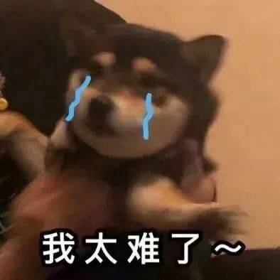 初來獅城的你，這幾個熱門“新加坡現象”不能不知道