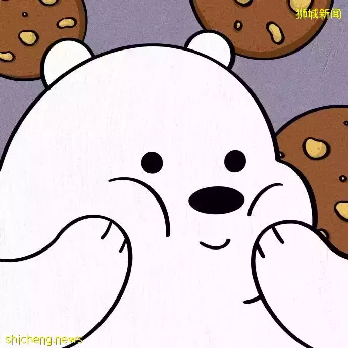 既能补贴学费还能留坡工作,竟有这等好事