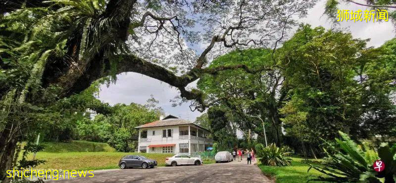 爱丽丝梦境、失乐园、无尾涧——新加坡老组屋区东陵福隐藏了哪些秘境?让老居民带你寻幽探秘