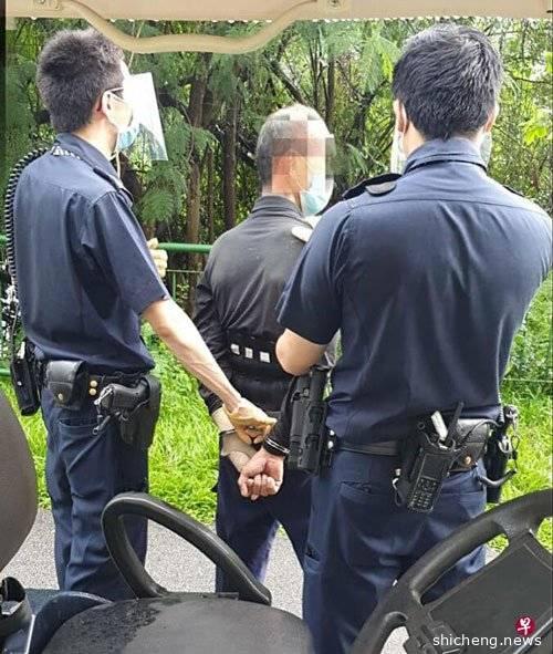 ◤新国延长CCB◢ 公园非法剪班兰叶不听劝 无罩叔刺伤官员被捕