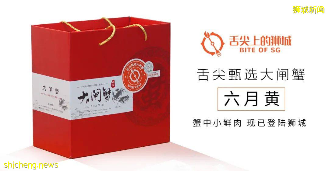 終終終于等到你！2021大閘蟹首登獅城，舌尖嘗鮮“六月黃”