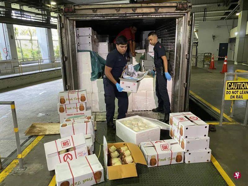 马国货车顺利入境新加坡 果菜蛋肉如常到