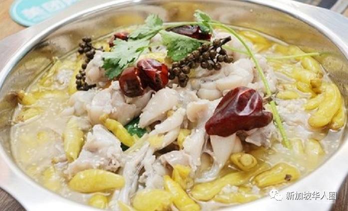 新加坡這家爆火的音樂餐廳,竟有秘密被曝光了