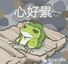 左跳右窜是为了国家和人民? 政治青蛙不累选民很累!