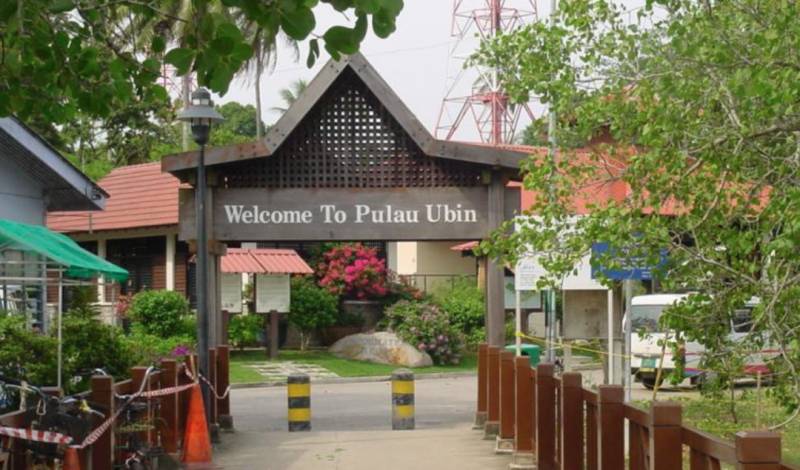 新加坡最美徒步路线盘点,一起来拥抱假期吧