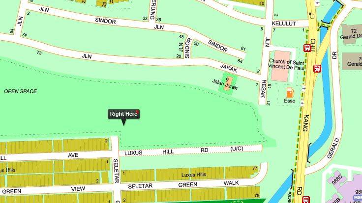 Luxus Hills (豪景山庄) | 宏茂桥）新加坡罕见的纯粹有地住宅别墅项目，9 9 9 年地契