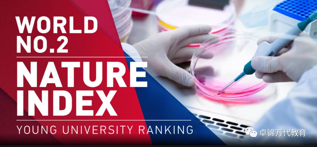 新加坡公立大學及理工學院就業調查