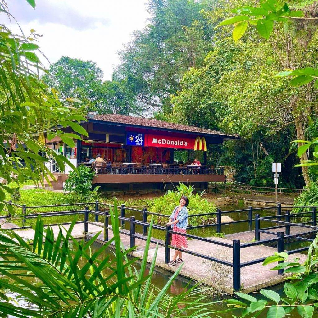 本地最美麥當勞“Queensway”打卡📷繁盛樹叢+綠蔭植物+靜谧池塘、靓"綠"風景線🌳