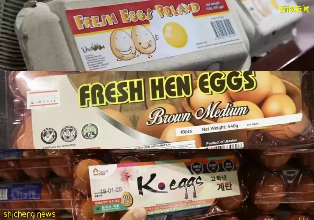 對抗物價上漲,新加坡人退休年齡和重新雇傭年齡均提高