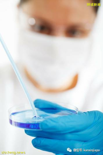 飞中国前必看!在新加坡接种辉瑞和莫德纳疫苗的人注意了