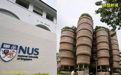 不同年龄段申请入读新加坡学校,难点、要点在这里了