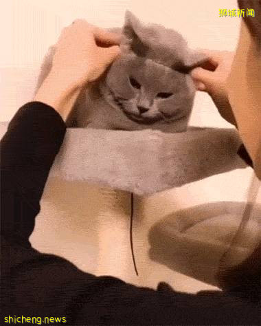 “我假装大学生勾引我在新加坡的老公......”