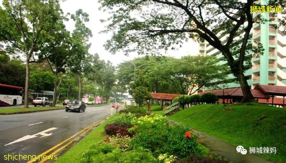 “花園城市”背後的故事，看完才知道新加坡這個小島國有多努力