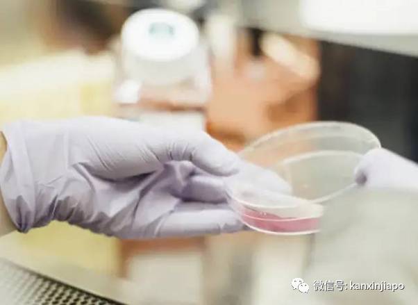 新加坡投注中心18人确诊肺结核,卫生部将进行排查检测