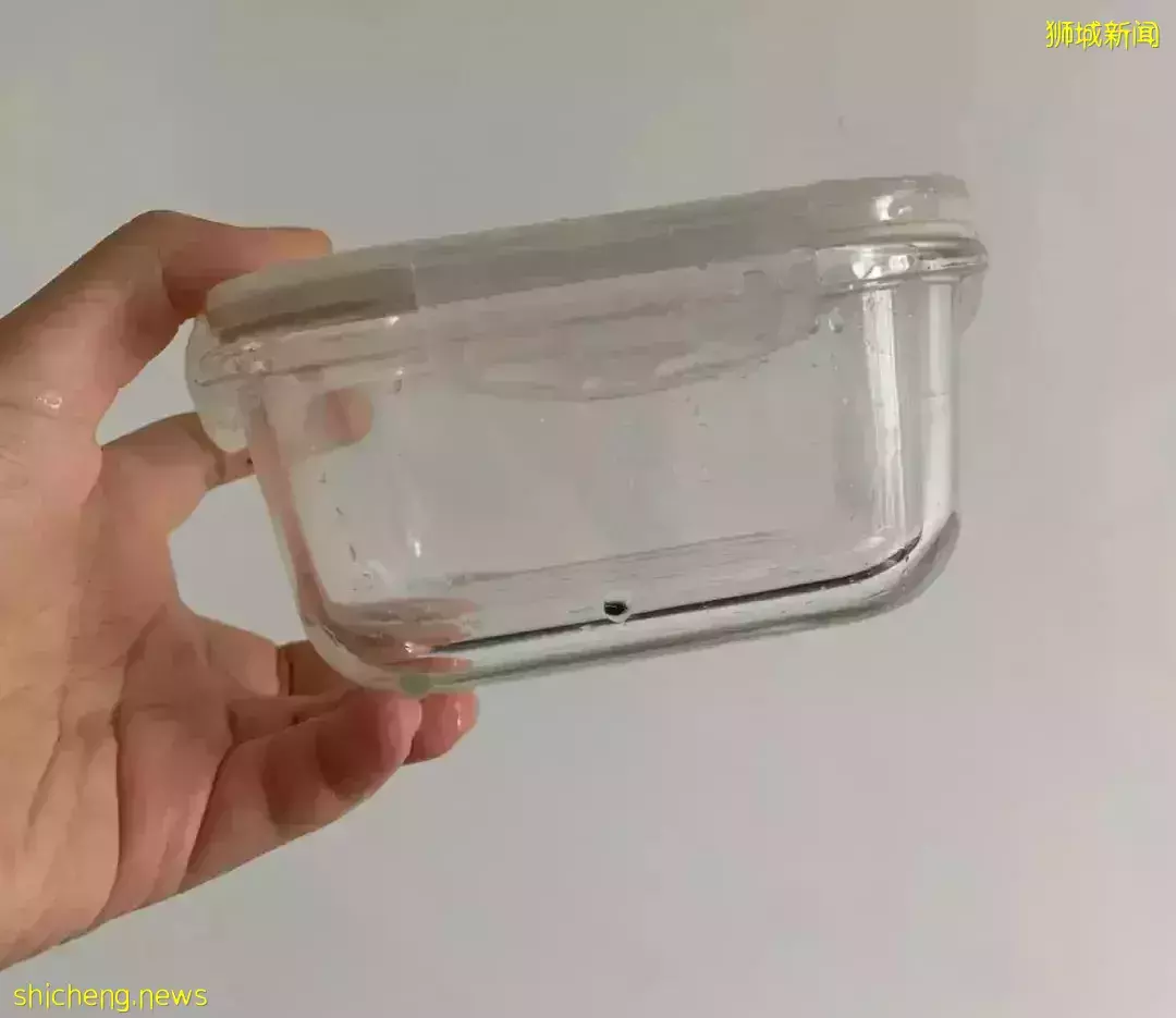 爲了國際化教育來新加坡!結果剛上學第二天就吃冰箱冷飯