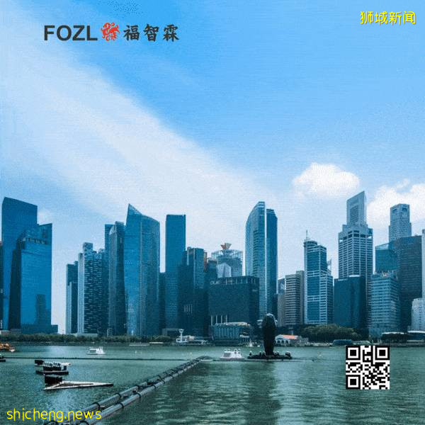 在新加坡注册成立的公司如何进行财务报告与审计？企业必知