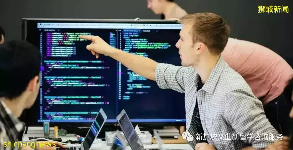 新加坡留學熱門專業盤點，就業好，認可度高