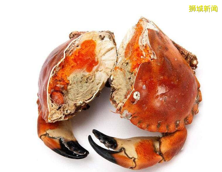 新加坡热心网友解救30多只剧毒螃蟹,认识下这些“毒物”