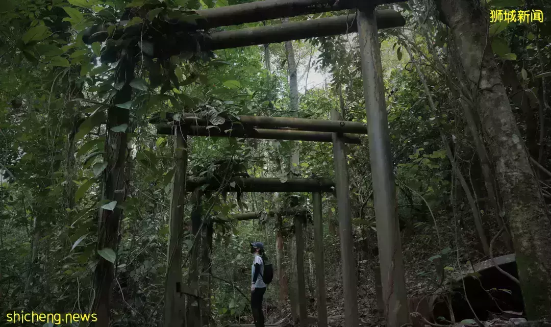 假期出遊 新加坡那些鮮爲人知的“寶藏”勝地